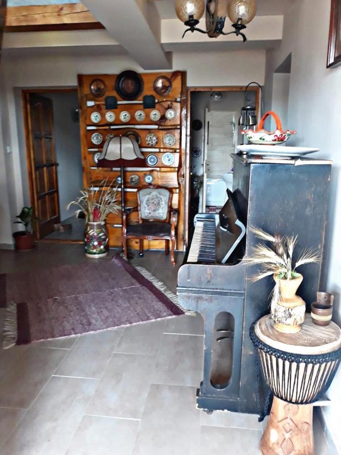 La Curtea Veche Apartment Lapus Екстериор снимка