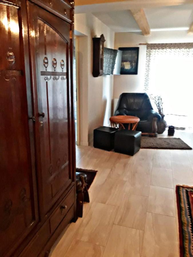 La Curtea Veche Apartment Lapus Екстериор снимка