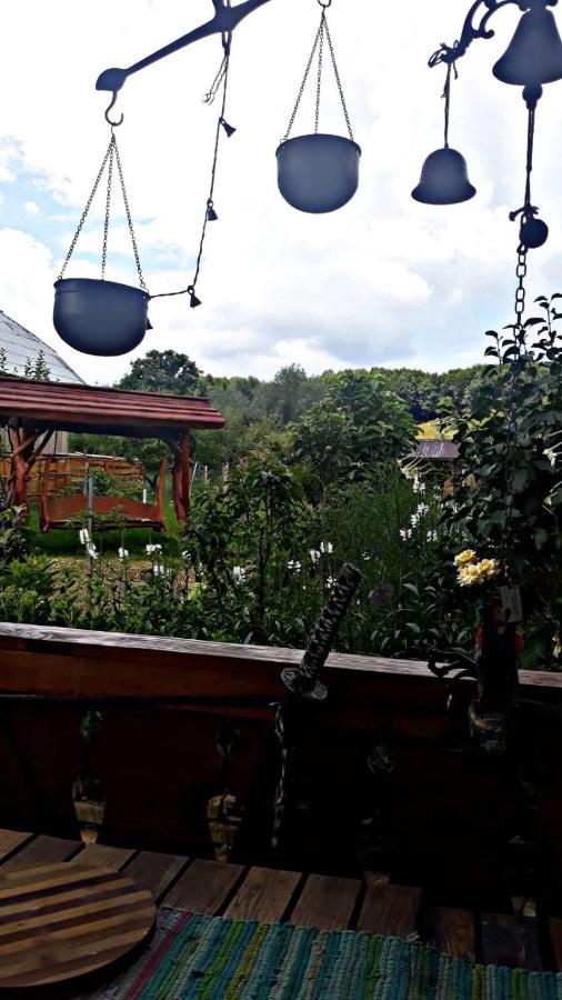 La Curtea Veche Apartment Lapus Екстериор снимка