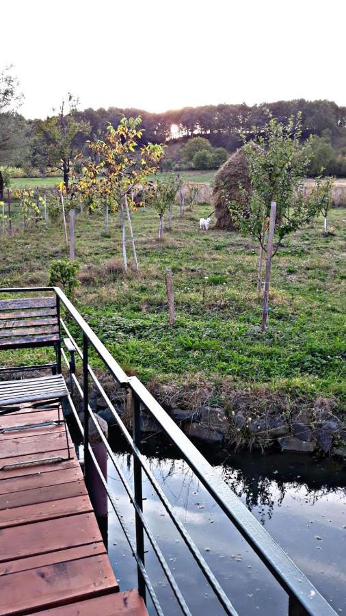 La Curtea Veche Apartment Lapus Екстериор снимка