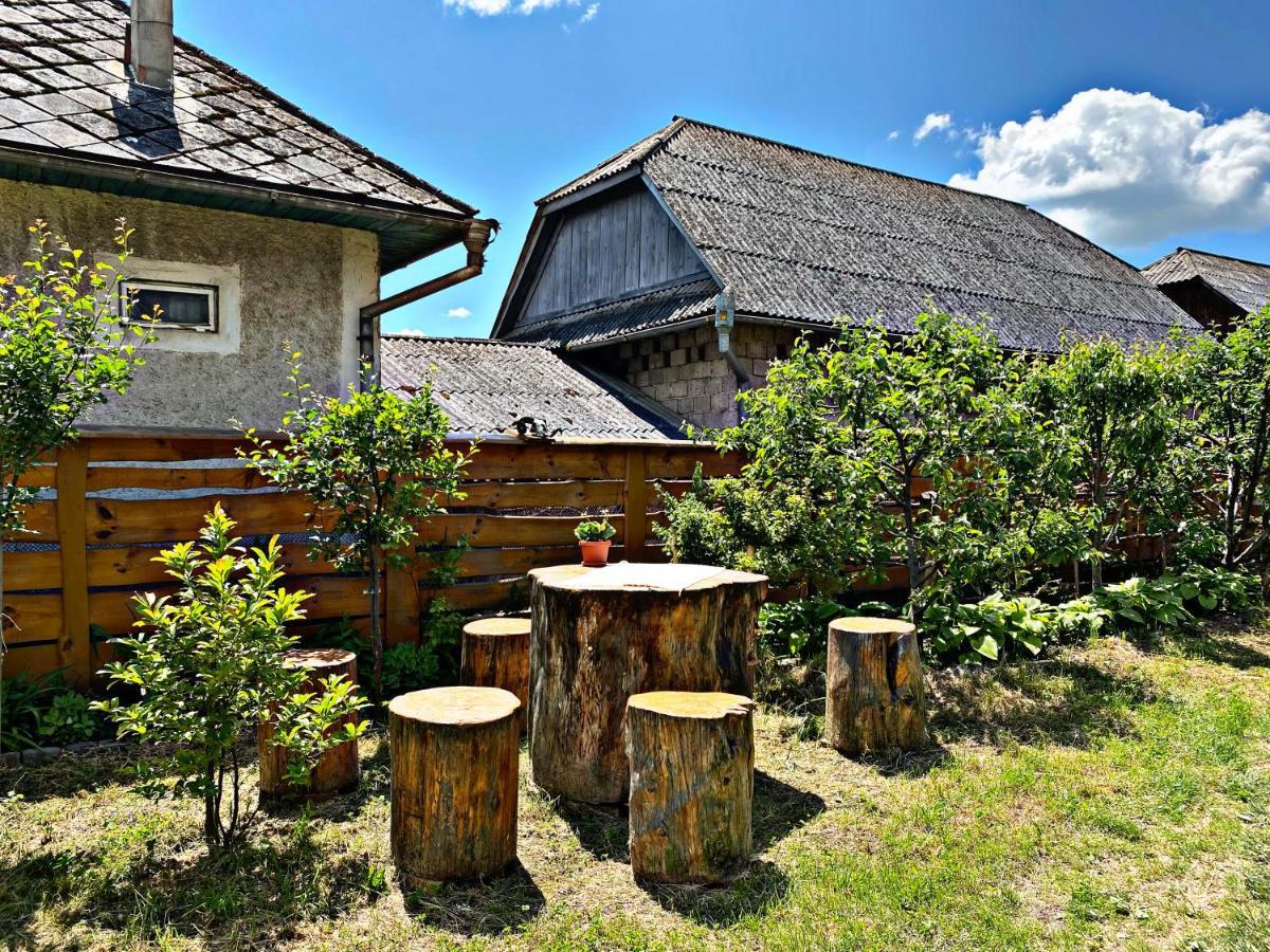 La Curtea Veche Apartment Lapus Екстериор снимка
