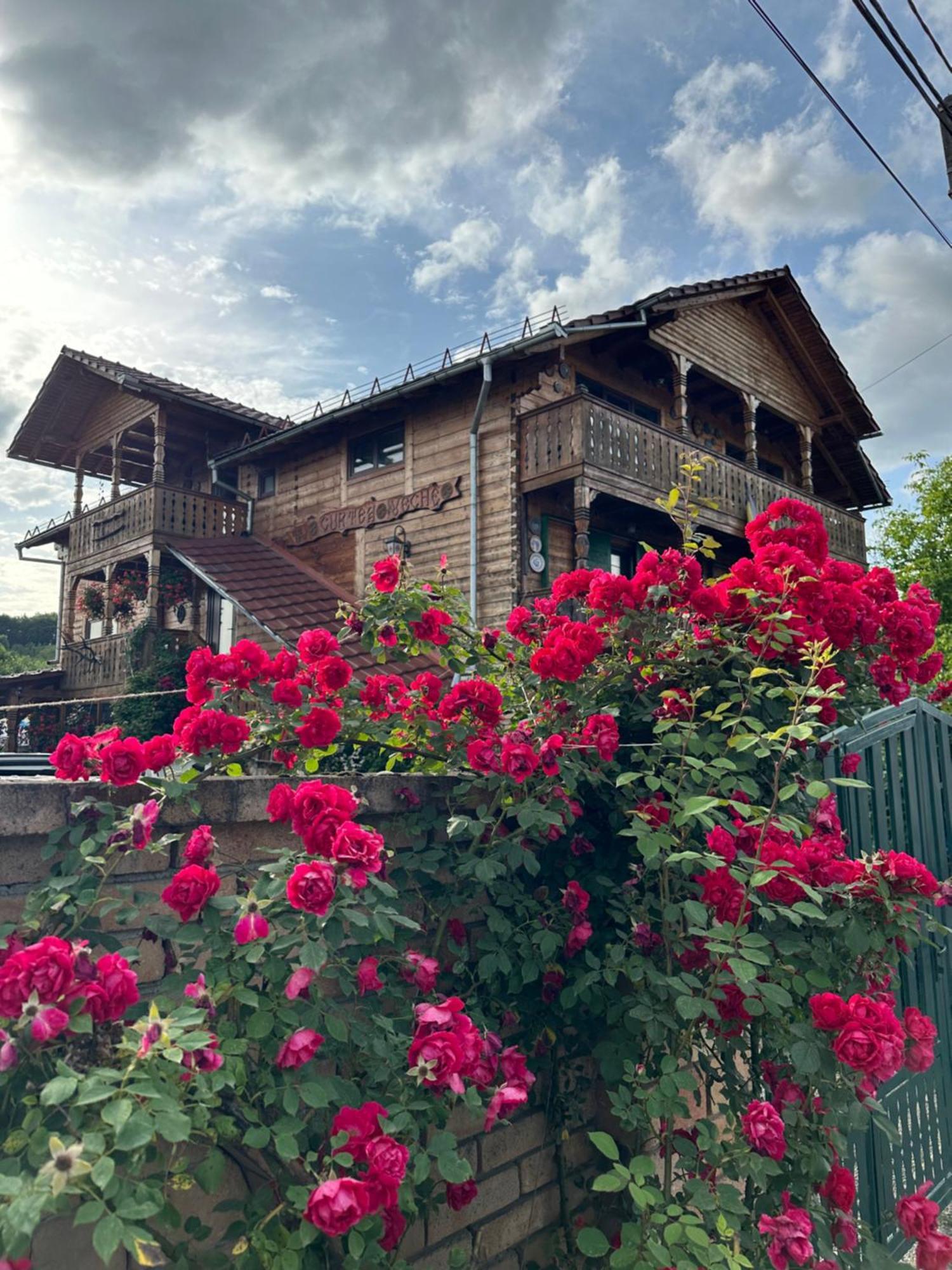 La Curtea Veche Apartment Lapus Екстериор снимка